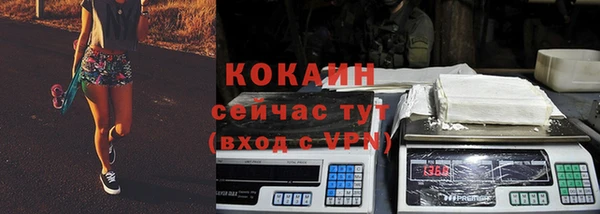 прущий лед Алзамай