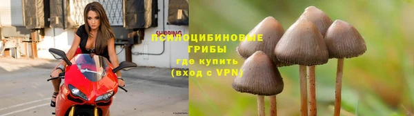 прущий лед Алзамай