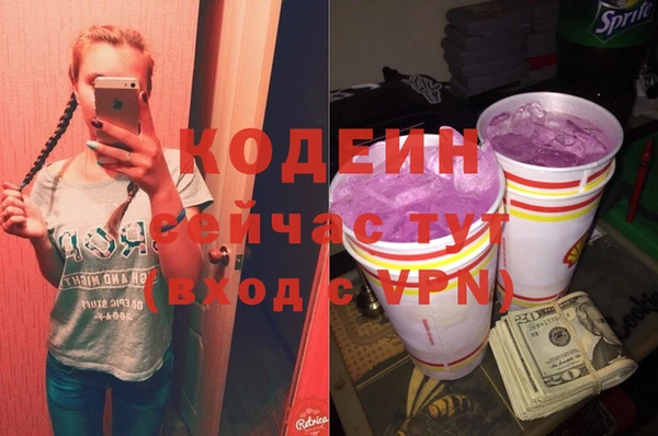 прущий лед Алзамай