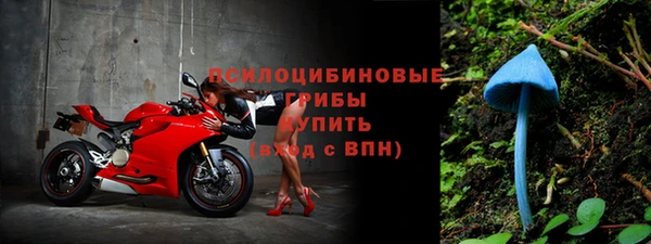 a pvp Алексин