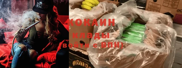 прущий лед Алзамай