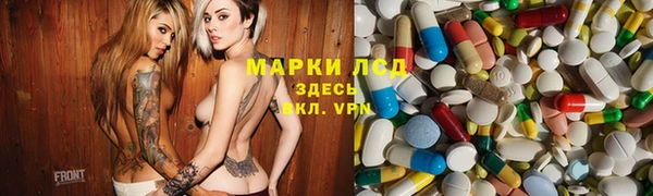 прущий лед Алзамай