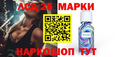индика Бердск