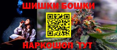 индика Бердск