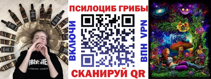 площадка состав  hydra ТОР  Амурск  Галлюциногенные грибы Cubensis 