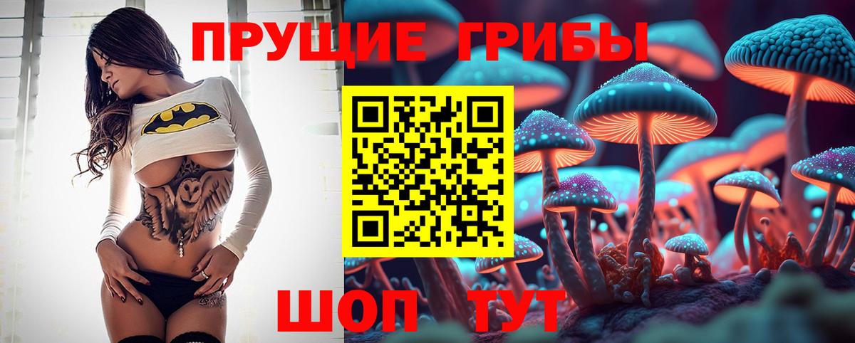 Псилоцибиновые грибы Psilocybe  Вход с VPN  Амурск 